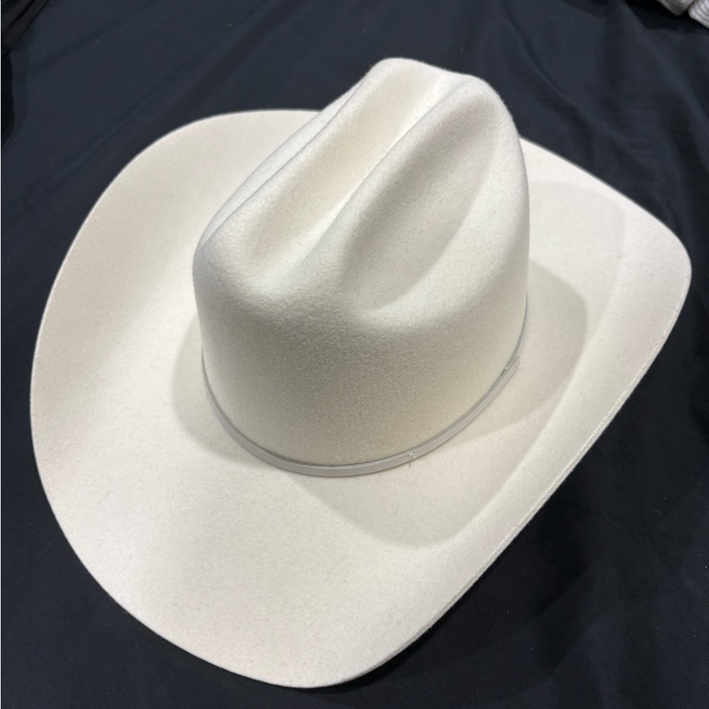 Aritzia Classic White Cowboy Hat